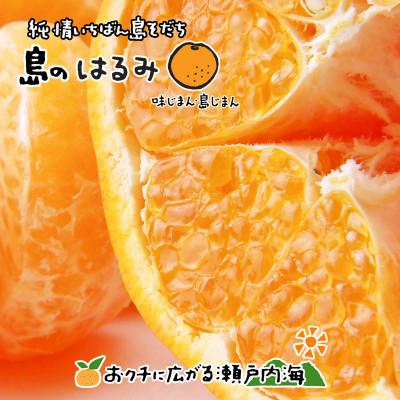 ふるさと納税 愛媛県 希望の島 はるみ 特選品 中玉 2kg 愛媛県松山市中島産