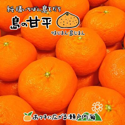 ふるさと納税 愛媛県 希望の島 甘平 特選品 大玉 2kg 愛媛県松山市中島産