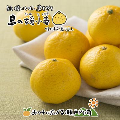 ふるさと納税 愛媛県 希望の島 媛小春 特選品 2kg 愛媛県松山市中島産