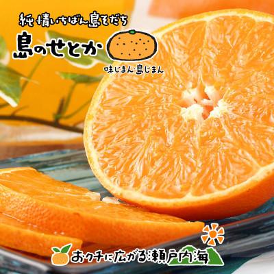 ふるさと納税 愛媛県 希望の島 せとか 特選品 中玉 2kg 愛媛県松山市中島産
