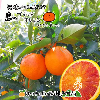 ふるさと納税 愛媛県 希望の島 ブラッドオレンジ 特選品 中玉 2kg 愛媛県松山市中島産