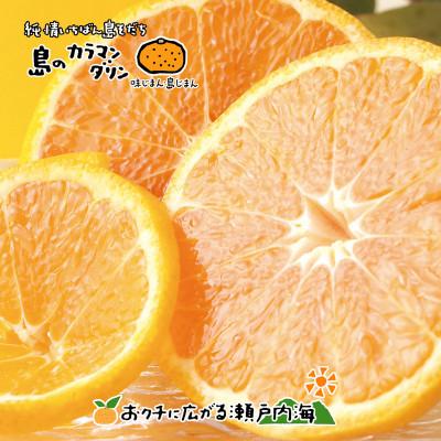 ふるさと納税 愛媛県 希望の島 完熟春みかん(カラマンダリン) 特選品 中玉 2kg 愛媛県松山市中島産
