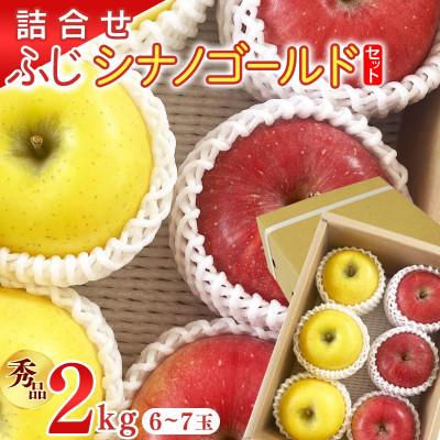 ふるさと納税 寒河江市 [先行予約]令和8年産[詰合せ]りんご2種 ふじ シナノゴールド 秀品 計2kg (計6-7玉)