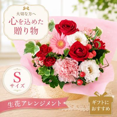 ふるさと納税 豊橋市 季節のフラワーアレンジメント Sサイズ ピンク&amp;レッド系の色合い