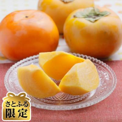 ふるさと納税 本巣市 [さとふる限定]太秋柿 3Lサイズ 10個入り くどみフルーツ農園