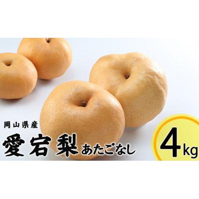 ふるさと納税 玉野市 岡山県産 あたご梨 3〜6玉 合計約4kg