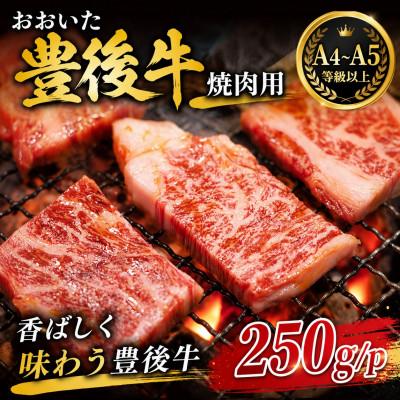 ふるさと納税 津久見市 [A4〜A5]おおいた豊後牛焼肉用 250g×1p