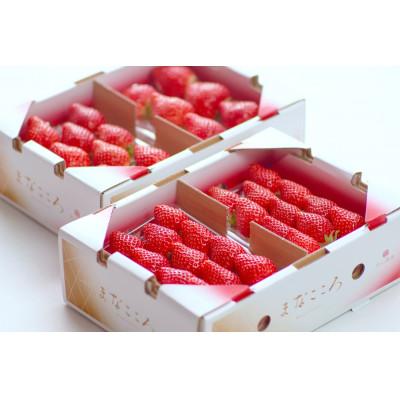 ふるさと納税 東松山市 ★先行予約★期間限定[とちおとめ]厳選苺(いちご) まなこころ 葵 4パック(1040g)
