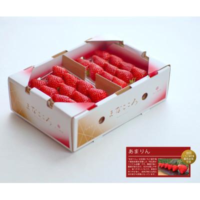 ふるさと納税 東松山市 ★先行予約★期間限定[あまりん]厳選苺(いちご) まなこころ 葵 2パック(520g)