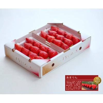 ふるさと納税 東松山市 ★先行予約★期間限定[あまりん]厳選苺(いちご)まなこころ 楓 2パック(560g)