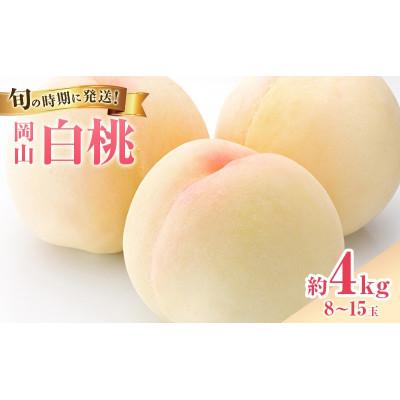 ふるさと納税 高梁市 [2027年発送]白桃 約4kg 岡山県産