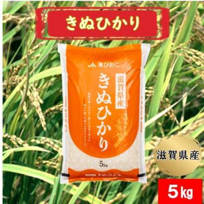 ふるさと納税 甲良町 令和7年産 甲良米「キヌヒカリ」白米 5kg