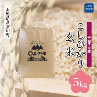 ふるさと納税 真室川町 [令和7年産米] こしひかり[玄米]5kg(5kg×1袋)◆KR7K05M-G