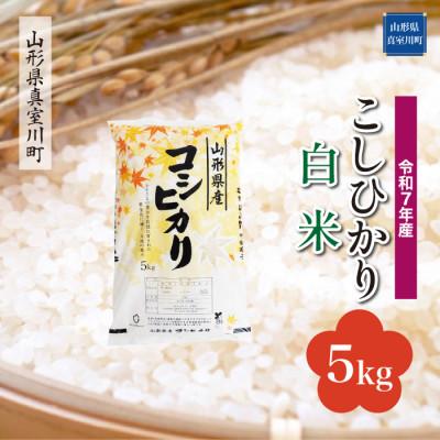 ふるさと納税 真室川町 [令和7年産米] こしひかり[白米]5kg(5kg×1袋)◆KR7K05M-H