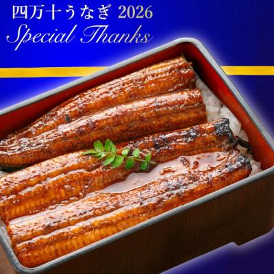 ふるさと納税 四万十町 [数量限定]規格外・うなぎの蒲焼き(合計約500g)