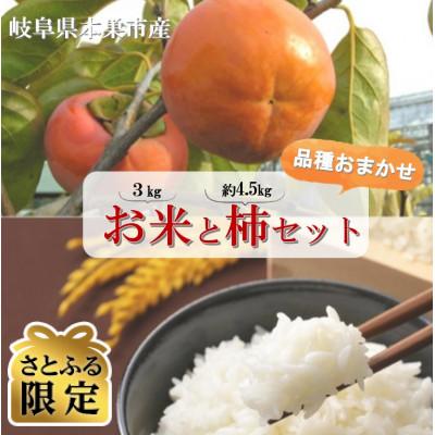 ふるさと納税 本巣市 [さとふる限定]令和8年産のお米と訳あり柿セット くどみフルーツ農園