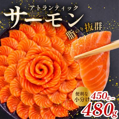 ふるさと納税 松原市 アトランティックサーモン 450g-480g 小分けの海鮮