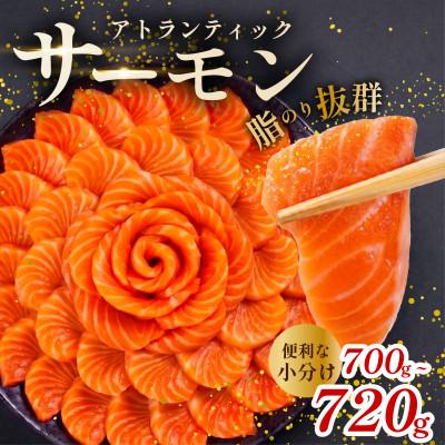 ふるさと納税 松原市 アトランティックサーモン 700〜720g サーモン さけの刺身(生食用) 小分けブロック 冷凍