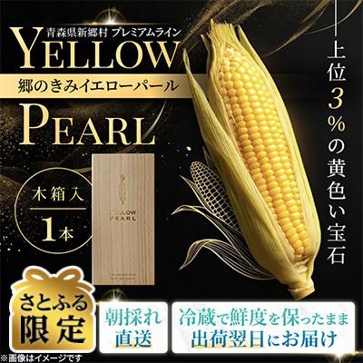 ふるさと納税 青森県 [関東・関西限定]収穫の翌日届く!「郷のきみイエローパール」高級とうもろこし 1本[さとふる限定]