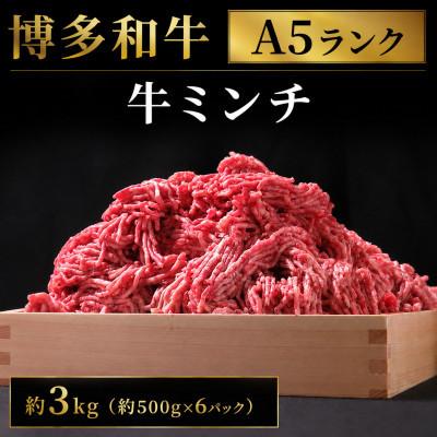 ふるさと納税 広川町 博多和牛 牛ミンチ約3kg(約500g×6パック)(広川町)