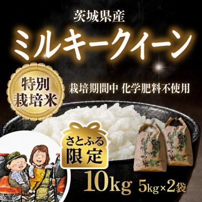 ふるさと納税 茨城町 [さとふる限定]特別栽培米ミルキークイーン 10kg(5kg×2袋)精米 令和8年産
