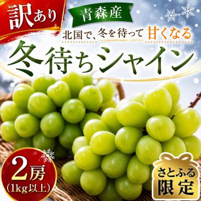 ふるさと納税 青森市 [さとふる限定]青森県産「冬待ちシャイン」2房(計1kg以上)冬に届くシャインマスカット 訳あり