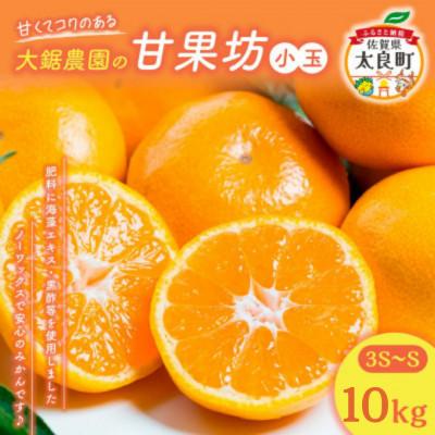 ふるさと納税 太良町 大鋸農園の甘果坊(小玉)10kg みかん[NB17×1]