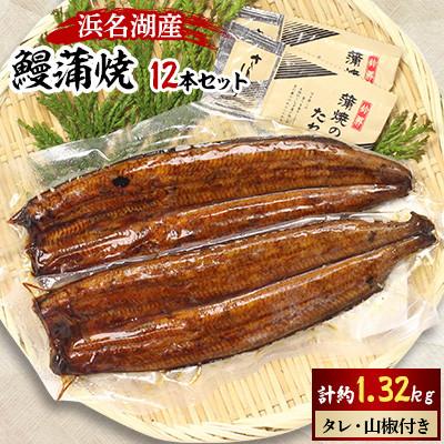 ふるさと納税 浜松市 [浜名湖産] 鰻蒲焼2本6セット