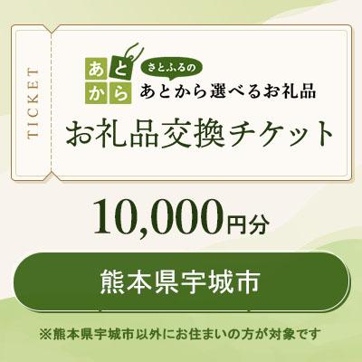 ふるさと納税 宇城市 熊本県宇城市 お礼品交換チケット 10,000円分