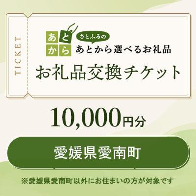 ふるさと納税 愛南町 愛媛県愛南町 お礼品交換チケット 10,000円分