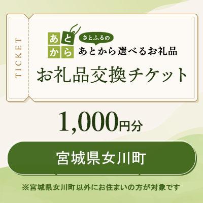 ふるさと納税 女川町 宮城県女川町 お礼品交換チケット 1,000円分