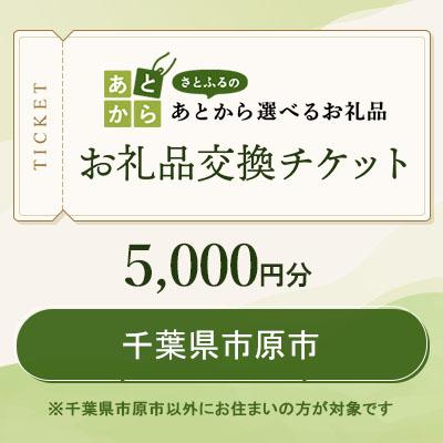 ふるさと納税 市原市 千葉県市原市 お礼品交換チケット 5,000円分