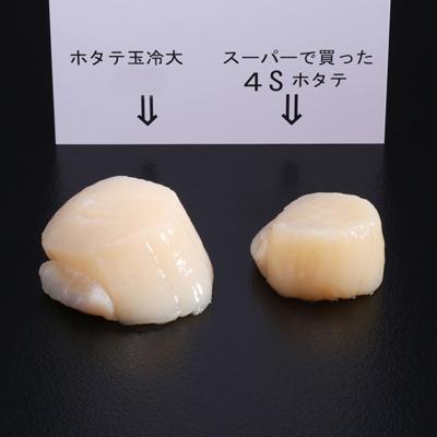 ふるさと納税 紋別市 北海道オホーツク海産ホタテ玉冷大(1kg)｜y-sf｜02