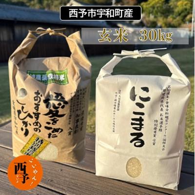 ふるさと納税 西予市 &lt;令和5年産 西予市宇和町産 玄米30kg&gt; コメ ご飯 ライス 特産品 ゴハン