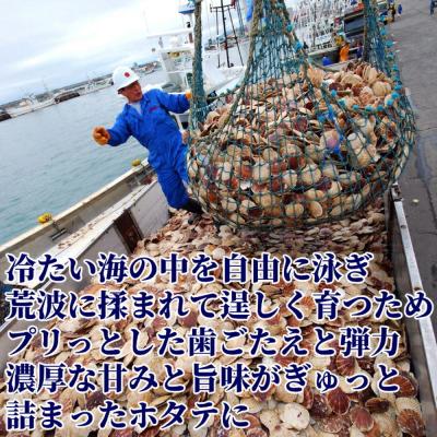 ふるさと納税 紋別市 北海道オホーツク海産ホタテ玉冷バラエティサイズ(2kg)| 訳あり サイズ不揃い |  | 01