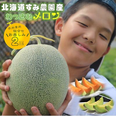 ふるさと納税 和寒町 [ふるさと納税]≪令和8年産予約≫わっさむ産メロン(お任せ2玉)[7〜8月お届け]