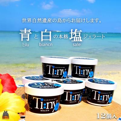 ふるさと納税 徳之島町 〜南の島からお届けします〜青と白の本格塩ジェラートギフト