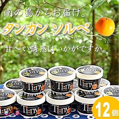 ふるさと納税 徳之島町 〜南の島からお届けします〜太陽の輝き　タンカンソルベギフト