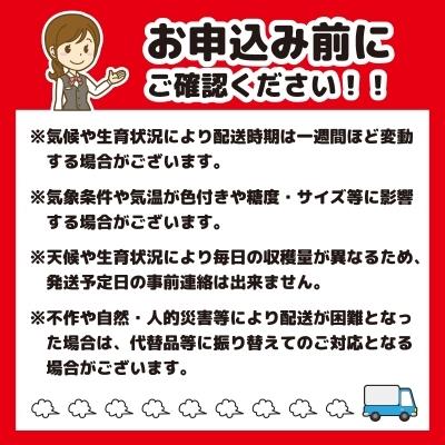 ふるさと納税 寒河江市 りんご 5kg「サンふじ」 秀品 (16〜18玉) 《家庭用》 010-B05‐11中下|y-sf|03