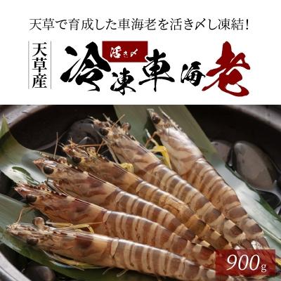 ふるさと納税 天草市 活き〆冷凍車海老 900g 400g 1パック 500g 1パック S065 003 さとふる 通販 Yahoo ショッピング