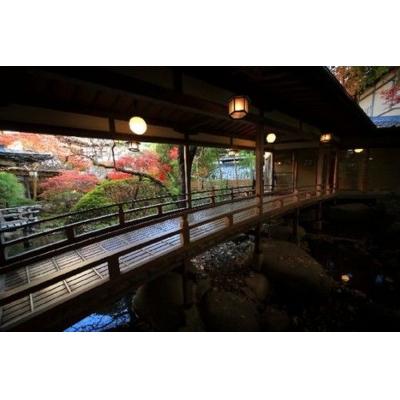 サービスクーポン、引換券 ふるさと納税 伊豆市 修善寺温泉【新井旅館】個室で休憩　昼食会席と日帰り入浴ペア券