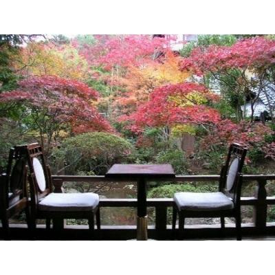 サービスクーポン、引換券 ふるさと納税 伊豆市 修善寺温泉【新井旅館】個室で休憩　昼食会席と日帰り入浴ペア券