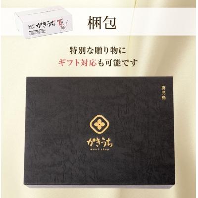 ふるさと納税 南九州市 鹿児島県産黒毛和牛ハンバーグ10個|y-sf|04