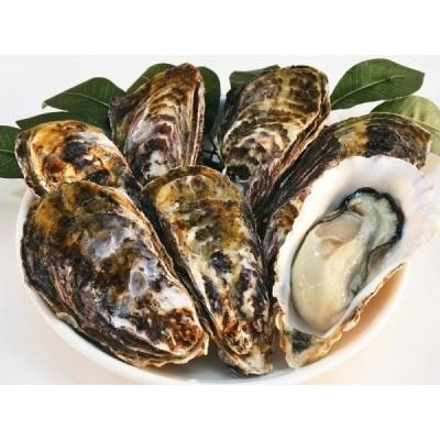 最高の ふるさと納税 多度津町 多度津 白方 牡蠣パック 加熱用 C 6 時間指定不可 Turningheadskennel Com