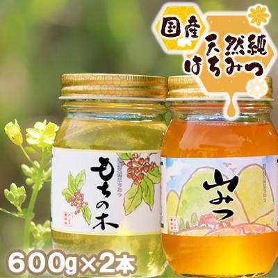 ふるさと納税 小郡市 天然国産純はちみつ もちのき600g &amp; 山みつ600g