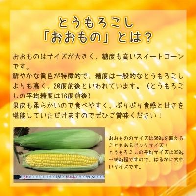 Outlet Sale ふるさと納税 寒河江市 朝採れ とうもろこし 5kg おおもの 10 13本 家庭用 8月頃発送 010 B22 08 Wantannas Go Id