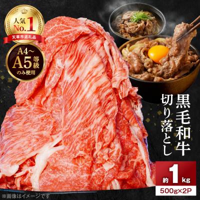 ふるさと納税 天草市 A4〜A5等級 黒毛和牛 切り落とし 1kg(500g×2P)_S001-001A | 