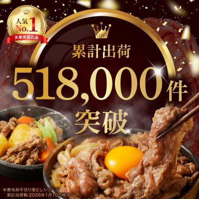 ふるさと納税 天草市 A4〜A5等級 黒毛和牛 切り落とし 1kg(500g×2P)_S001-001A |  | 01