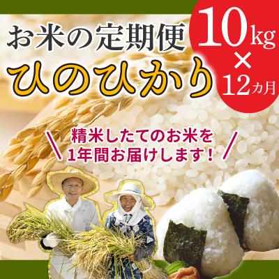 動作確認 ふるさと納税 南九州市 【全12回】鹿児島県産米ひのひかり10kg定期便 【HO2397935405】(87400円)