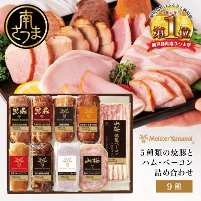 ふるさと納税 南さつま市 [マイスター山野井]5種類の焼豚とハム・ベーコン詰め合わせ [9種] ギフト 贈答用 セット